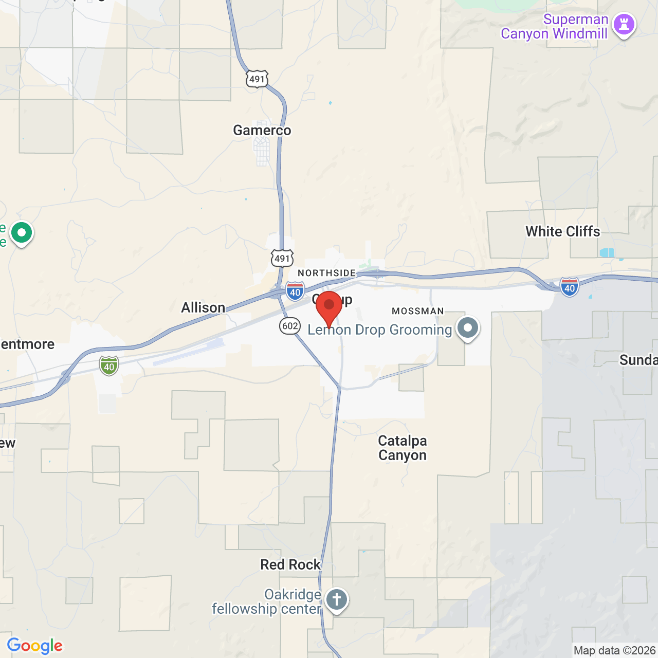 Map showing the flower delivery area in Gallup, New Mexico