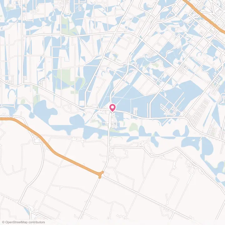 Map of the flower delivery area in Los Indios, Texas