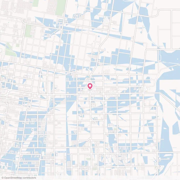 Map of the flower delivery area in Elsa, Texas