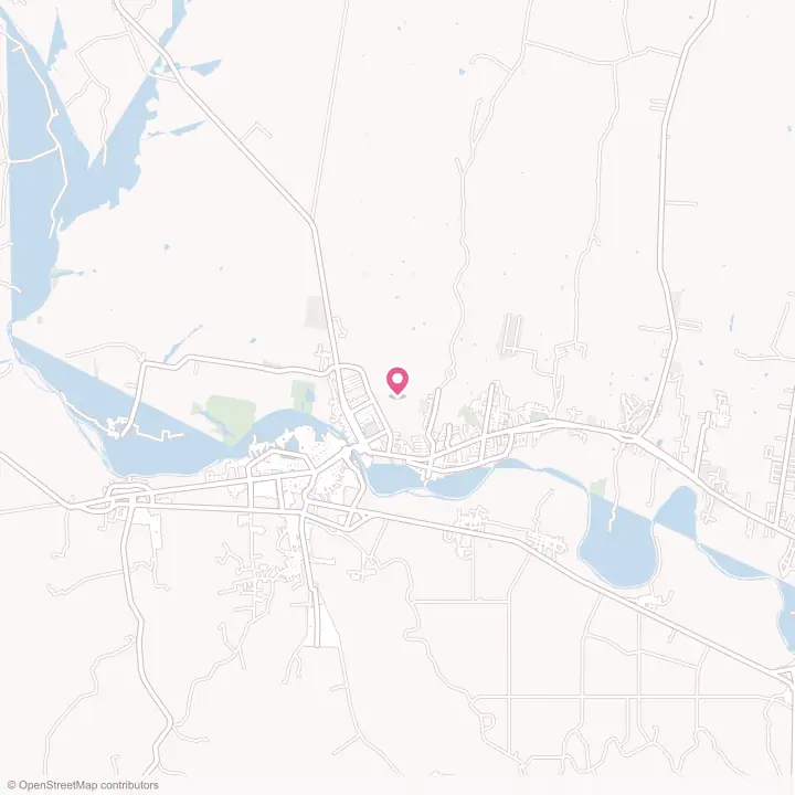 Map of the flower delivery area in Roma, Texas