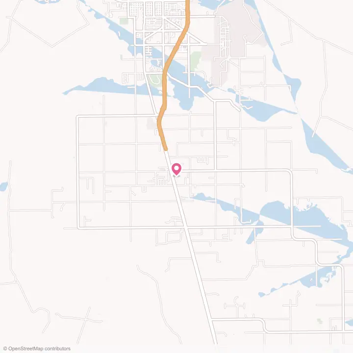 Map of the flower delivery area in Ricardo, Texas