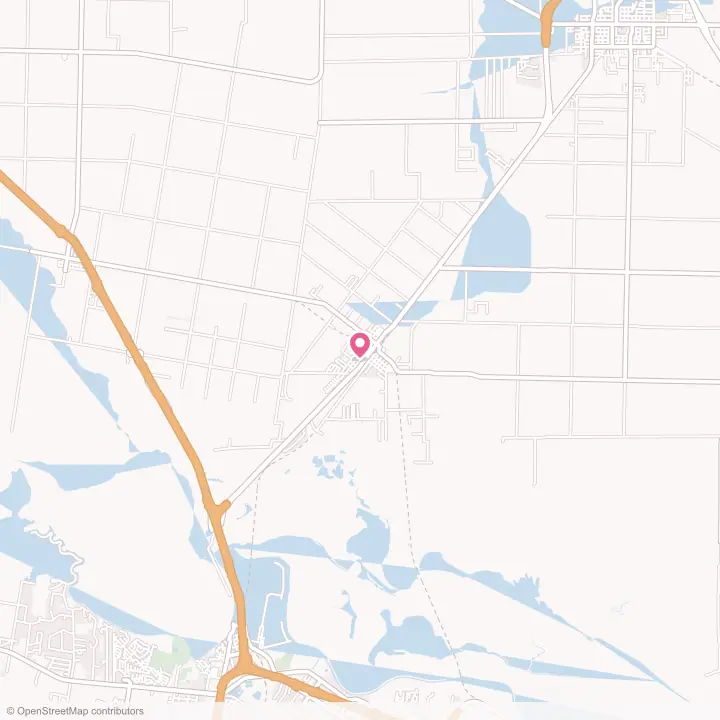 Map of the flower delivery area in Odem, Texas