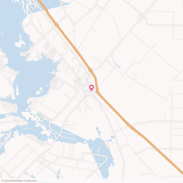 Map of the flower delivery area in Mathis, Texas