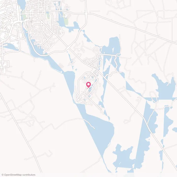 Map of the flower delivery area in Rosita, Texas