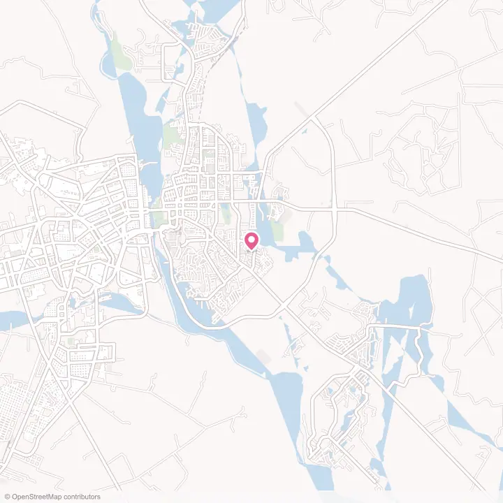 Map of the flower delivery area in Las Quintas Fronterizas, Texas