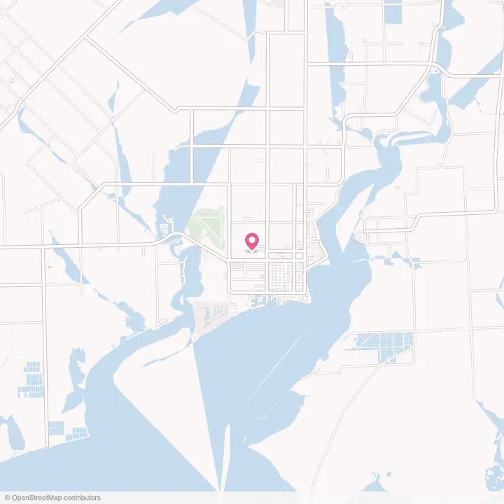 Map of the flower delivery area in Palacios, Texas