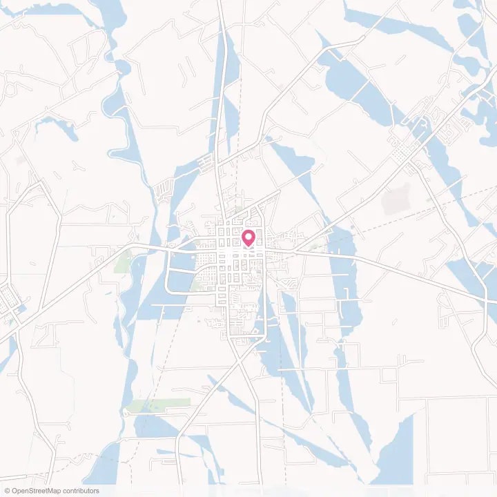 Map of the flower delivery area in Bay City, Texas