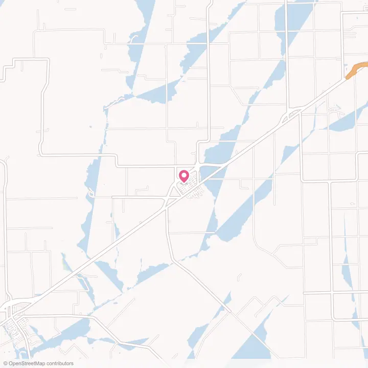 Map of the flower delivery area in Louise, Texas