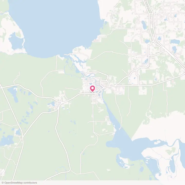 Map of the flower delivery area in Astor, Florida