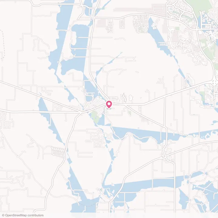 Map of the flower delivery area in Castroville, Texas