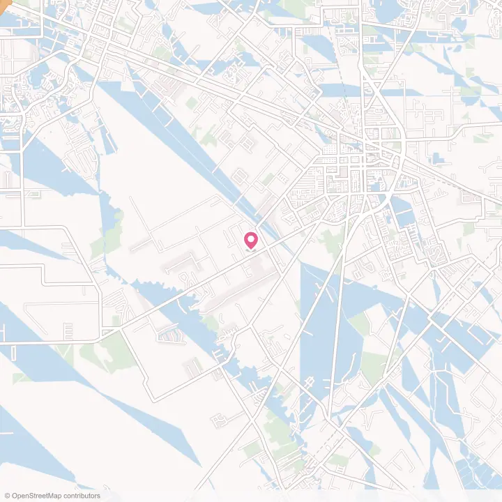 Map of the flower delivery area in Alvin, Texas