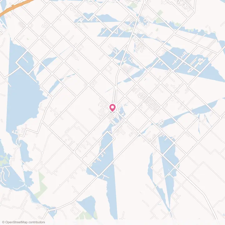 Map of the flower delivery area in Needville, Texas