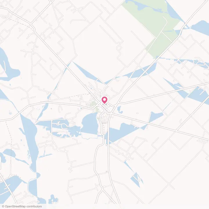 Map of the flower delivery area in Eagle Lake, Texas