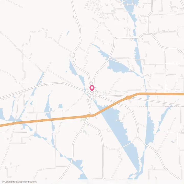 Map of the flower delivery area in Waelder, Texas