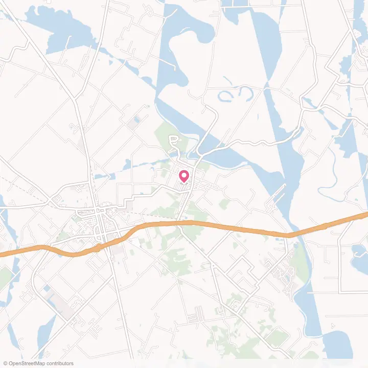 Map of the flower delivery area in San Felipe, Texas