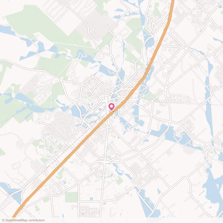 Map of the flower delivery area in San Marcos, Texas
