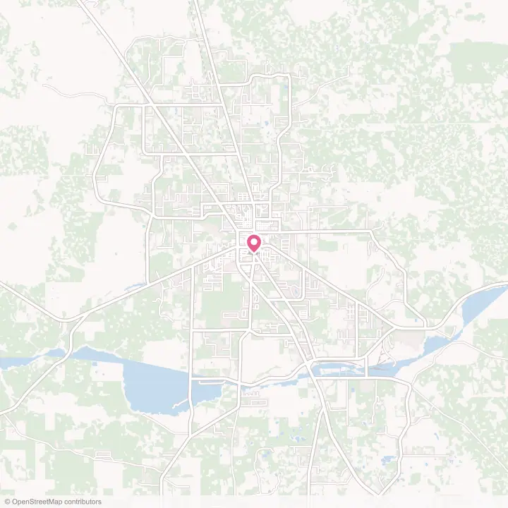 Map of the flower delivery area in Perry, Florida