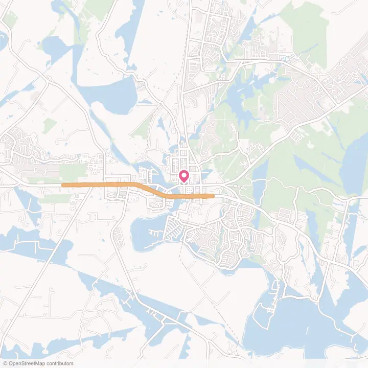 Map of the flower delivery area in Bastrop, Texas