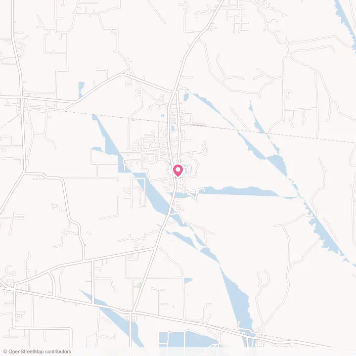 Map of the flower delivery area in Daisetta, Texas