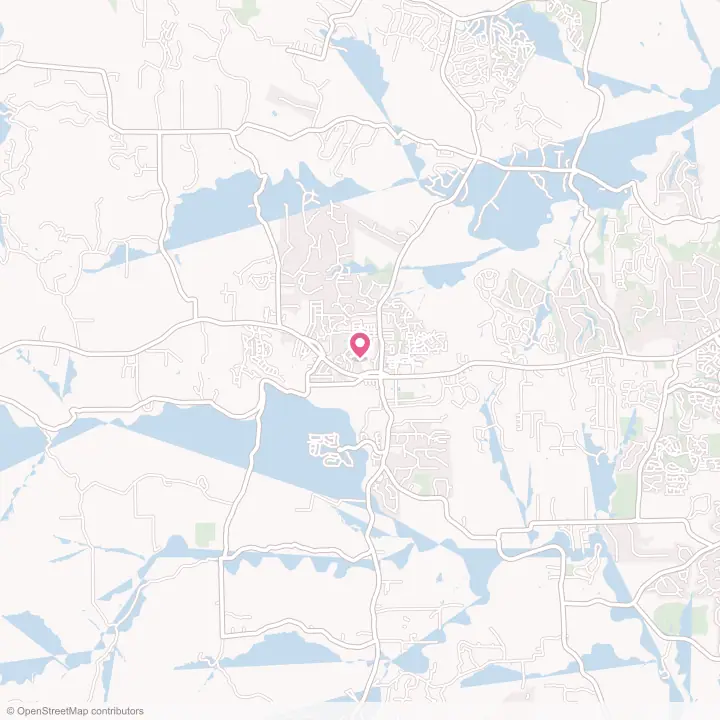 Map of the flower delivery area in Dripping Springs, Texas