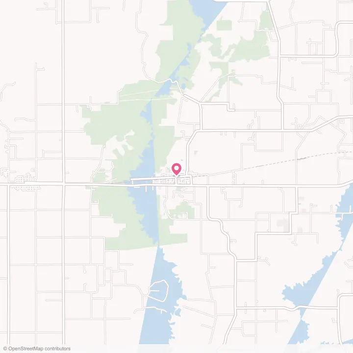 Map of the flower delivery area in Basile, Louisiana