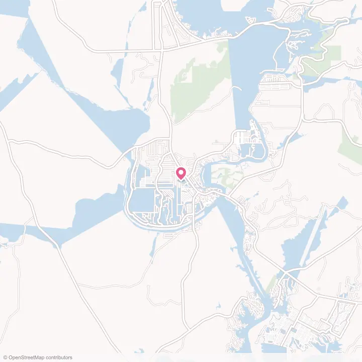 Map of the flower delivery area in Kingsland, Texas