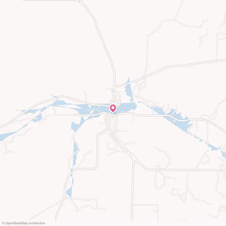 Map of the flower delivery area in Menard, Texas