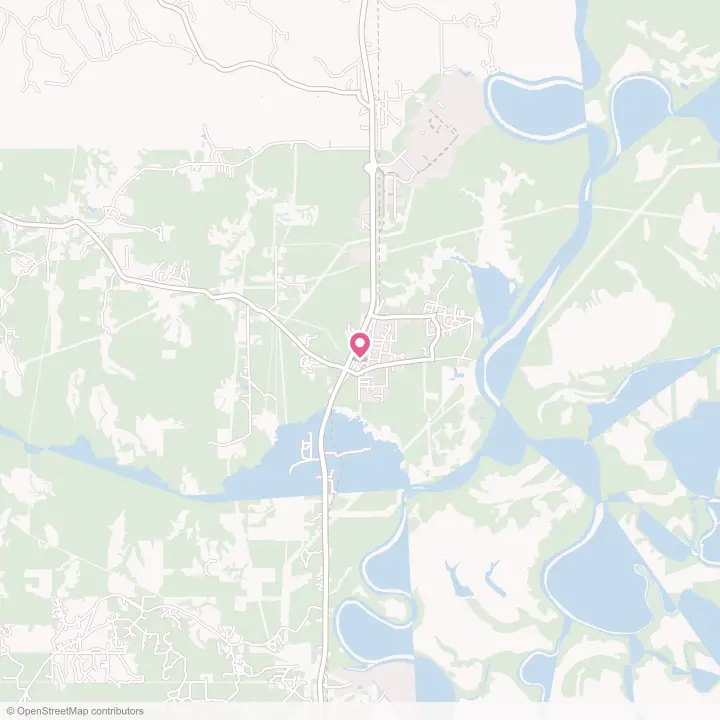 Map of the flower delivery area in Mount Vernon, Alabama
