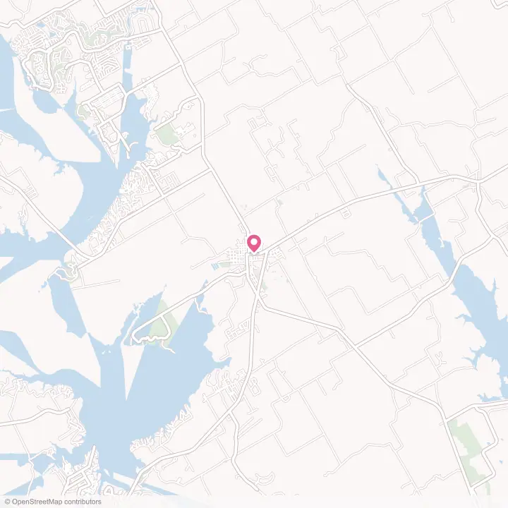 Map of the flower delivery area in Whitney, Texas