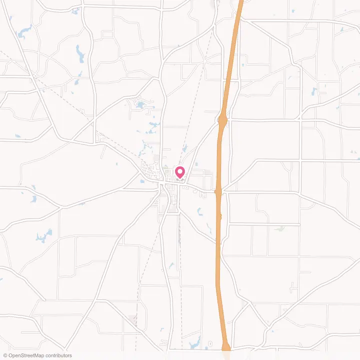 Map of the flower delivery area in Vienna, Georgia