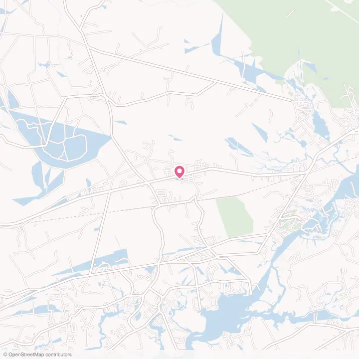 Map of the flower delivery area in Ravenel, South Carolina