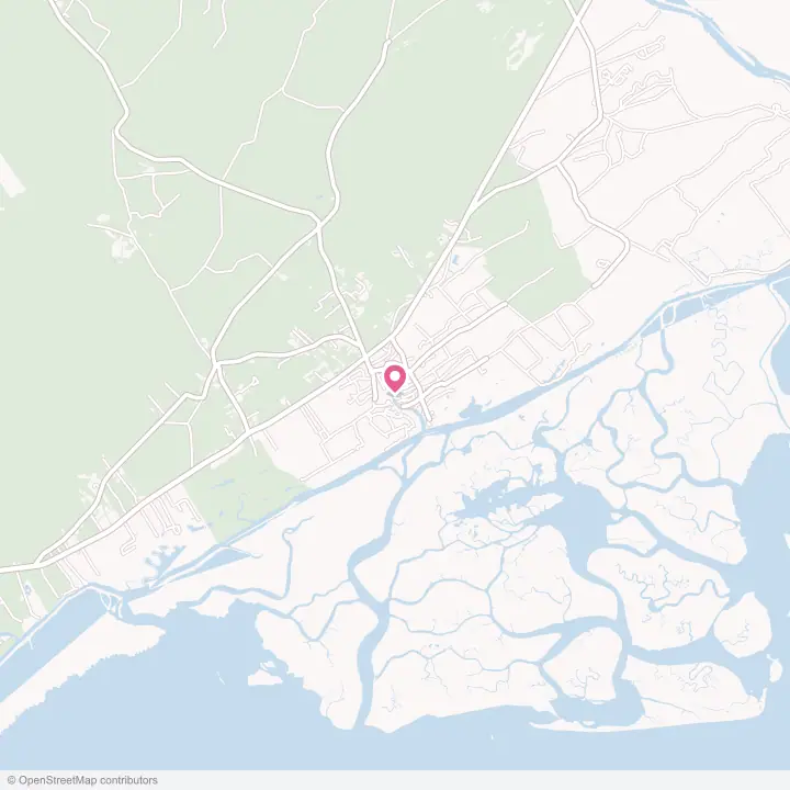 Map of the flower delivery area in McClellanville, South Carolina