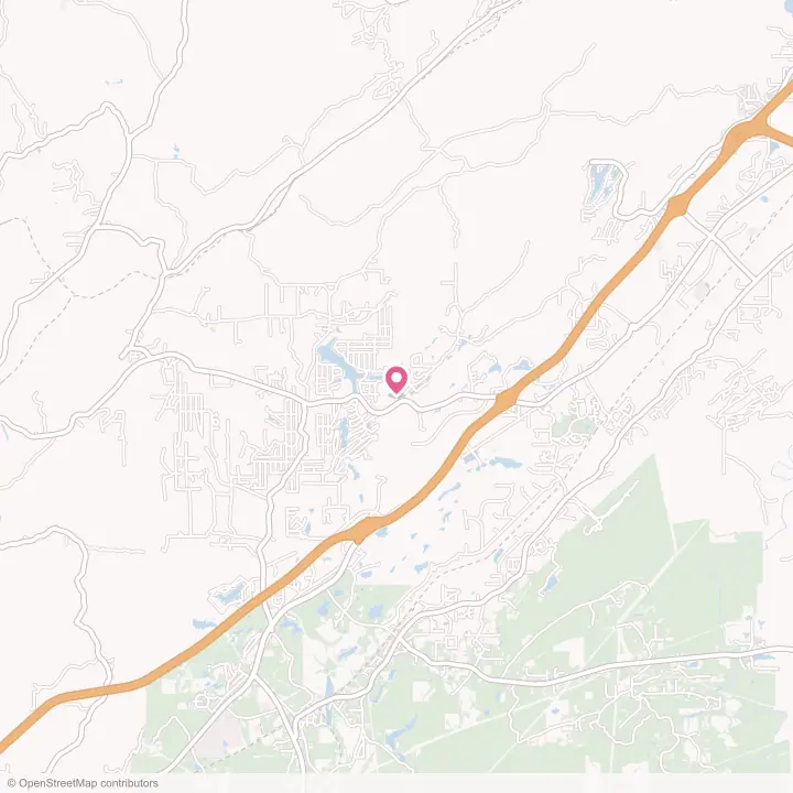 Map of the flower delivery area in Lake View, Alabama
