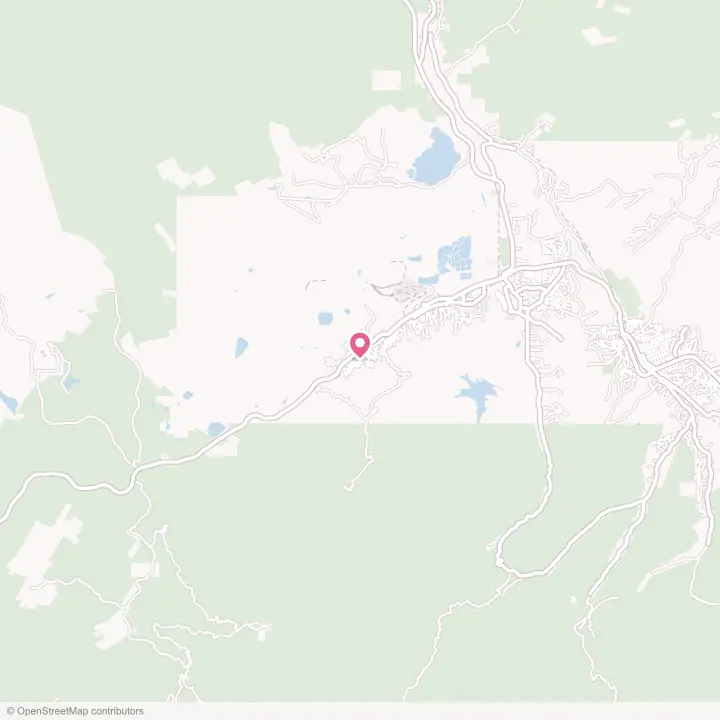 Map of the flower delivery area in Miami, Arizona