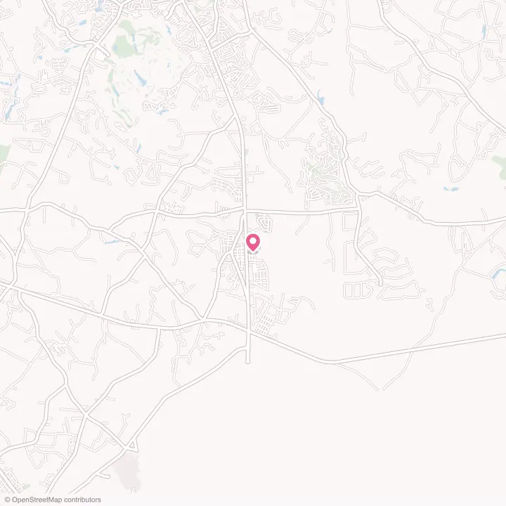 Map of the flower delivery area in New Ellenton, South Carolina