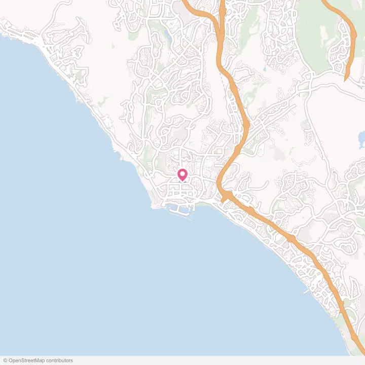 Map of the flower delivery area in Dana Point, California