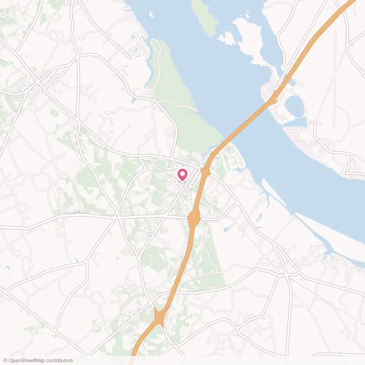 Map of the flower delivery area in Santee, South Carolina