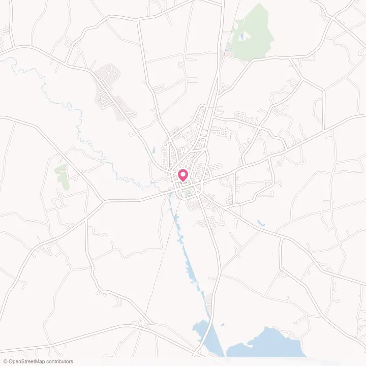 Map of the flower delivery area in Kingstree, South Carolina