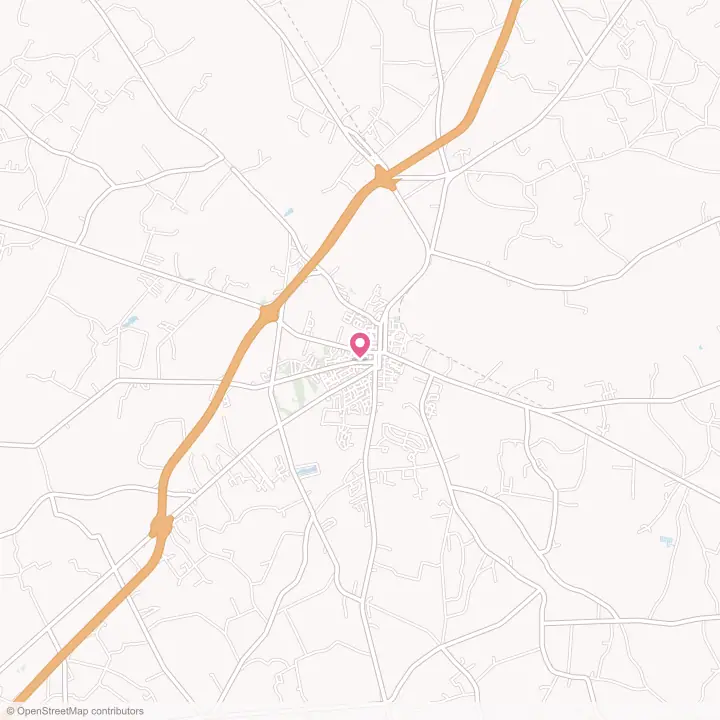 Map of the flower delivery area in Manning, South Carolina
