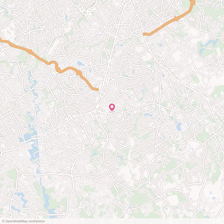 Map of the flower delivery area in Snellville, Georgia
