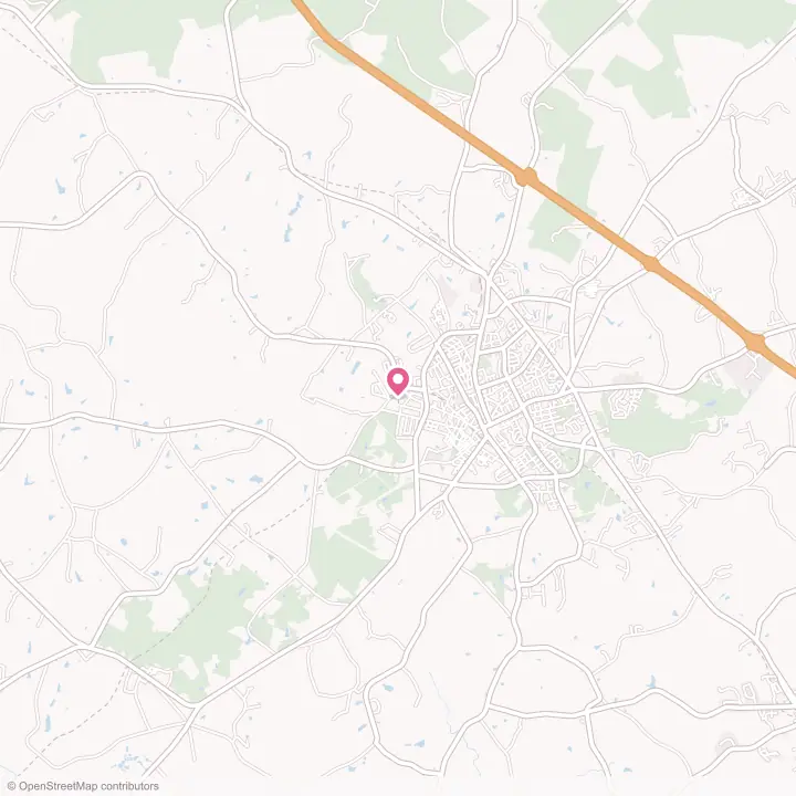 Map of the flower delivery area in Helena, South Carolina