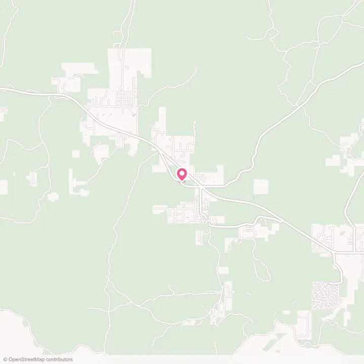 Map of the flower delivery area in Pinedale, Arizona