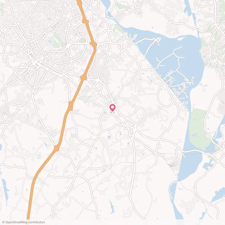 Map of the flower delivery area in Lesslie, South Carolina