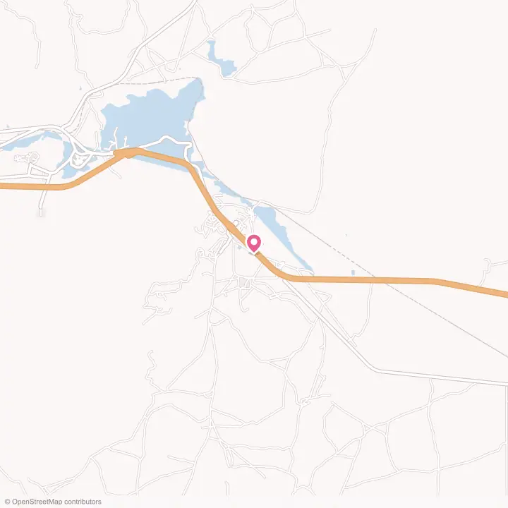 Map of the flower delivery area in Mesita, New Mexico