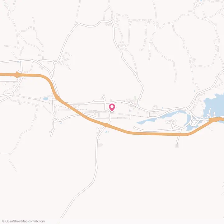 Map of the flower delivery area in Paraje, New Mexico