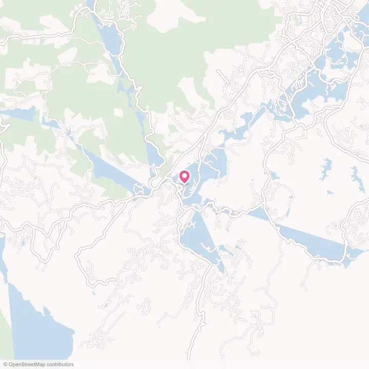Map of the flower delivery area in Rosman, North Carolina