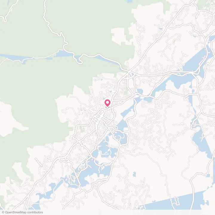 Map of the flower delivery area in Brevard, North Carolina