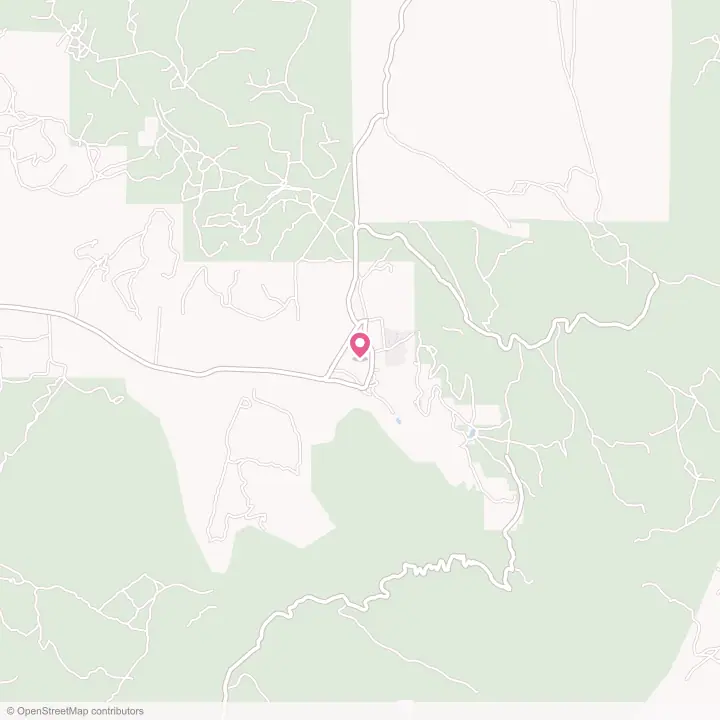 Map of the flower delivery area in San Mateo, New Mexico