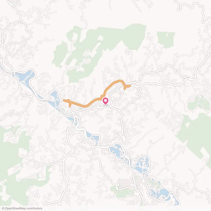 Map of the flower delivery area in Sylva, North Carolina