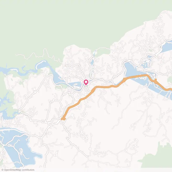 Map of the flower delivery area in Bryson City, North Carolina